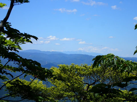 e0293913_2154920.jpg