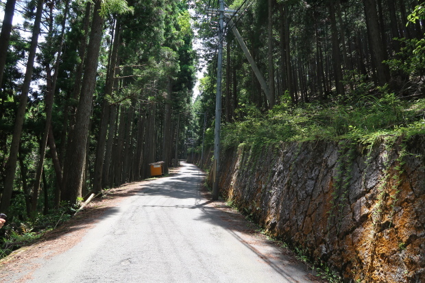 d0103314_23051981.jpg