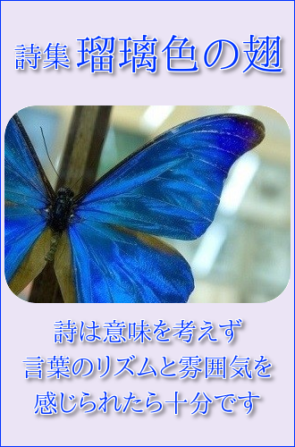 a0216818_20091105.png