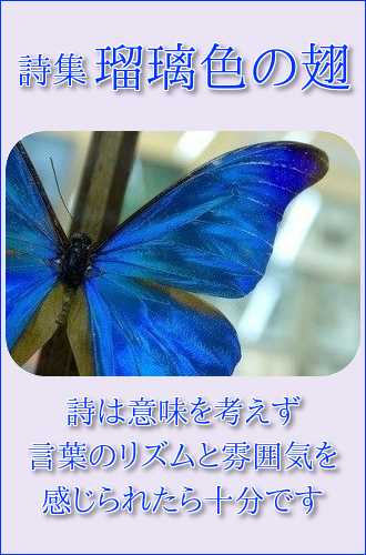 詩集 瑠璃色の翅　⑨_a0216818_20091105.png