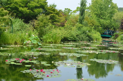 6月23日＠水の庭の様子_e0135518_16331733.jpg