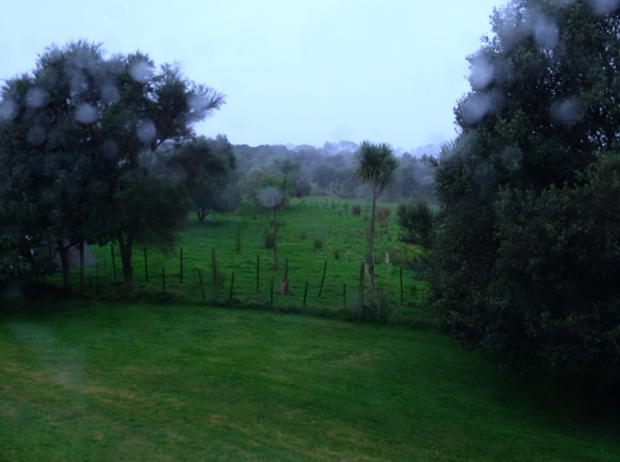 雨、アンガス牛、お線香／　Rain, Angus Cows, Lavender Insents_e0310424_08201208.jpg