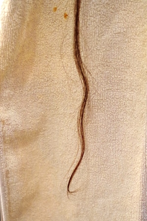 c0109726_20284880.jpg