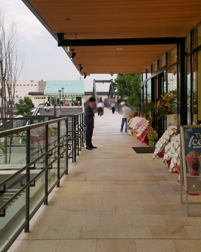 a0161036_00035229.jpg