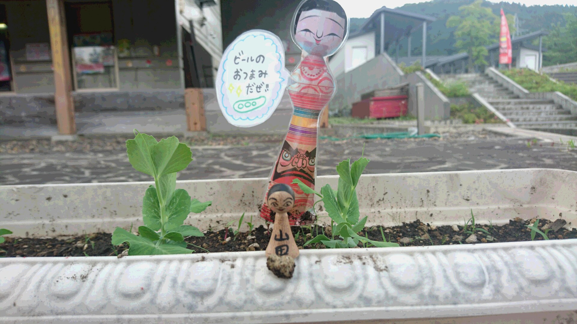 6月23日 かくだいつうはん500連発 その壱!_e0318040_15375965.jpg