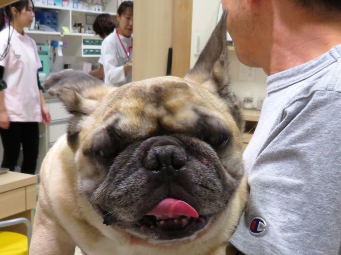 6 月 23 日の写真_c0174644_12120113.jpg