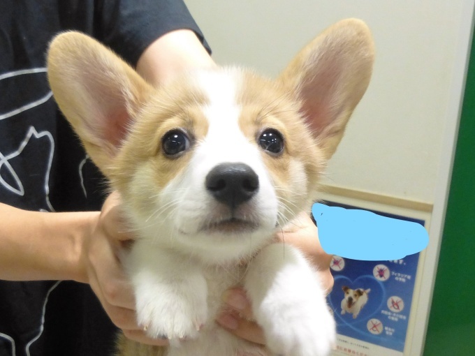 6 月 23 日の写真_c0174644_19512045.jpg