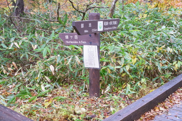 上州～上信越～尾瀬登山の旅　46　（燧ケ岳） 　　_a0288155_17131519.jpg