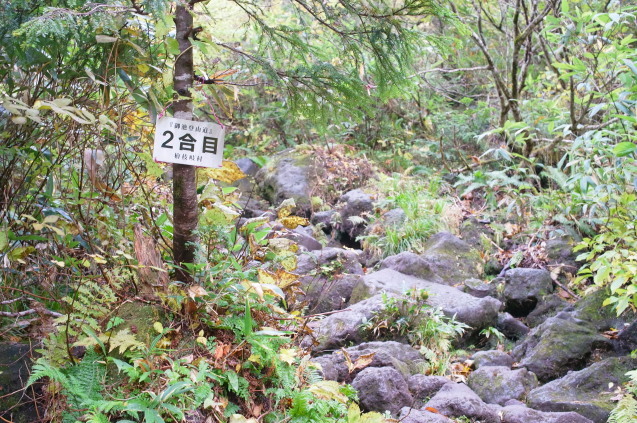 上州～上信越～尾瀬登山の旅　46　（燧ケ岳） 　　_a0288155_17182814.jpg