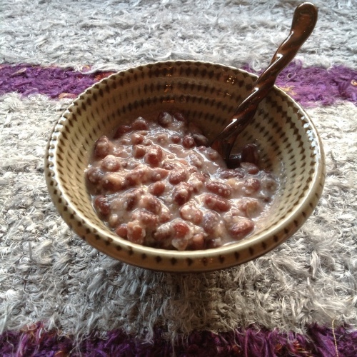 夏に効く麹生活 善玉菌成長記_b0153663_15371808.jpeg