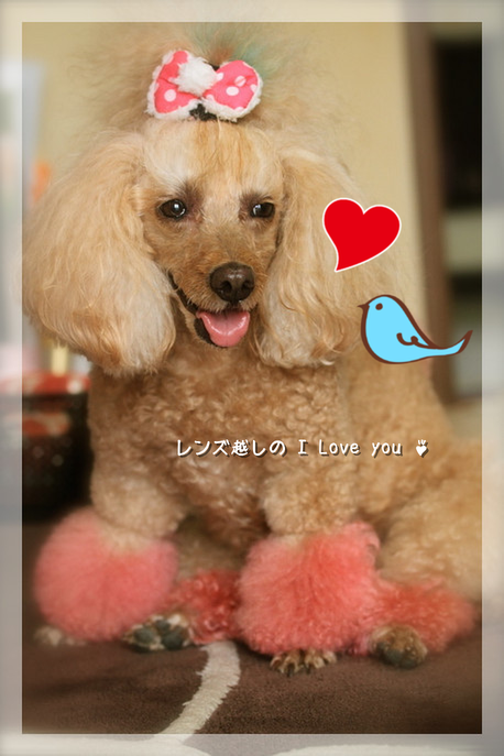 十四日月♪_d0367763_21371464.png