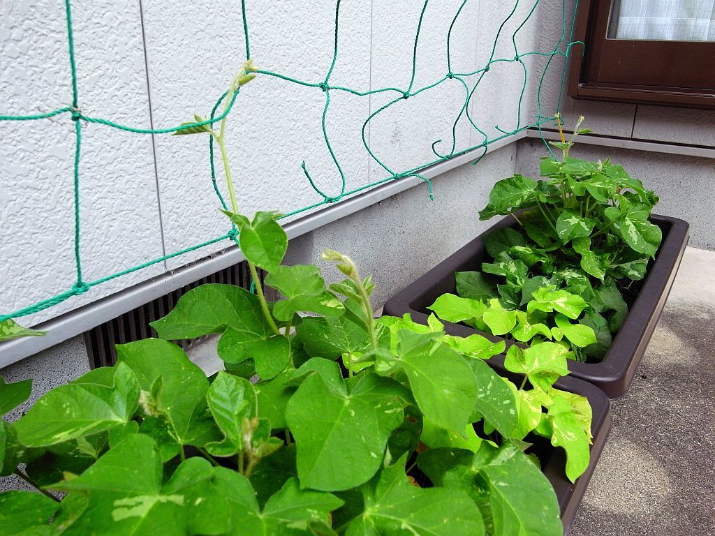 今日の暦_e0220163_18040601.jpg