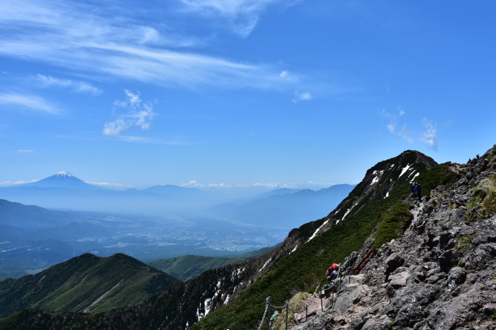 八ヶ岳、稜線上を彩る高山植物と広大な景色_a0307264_11265681.jpg