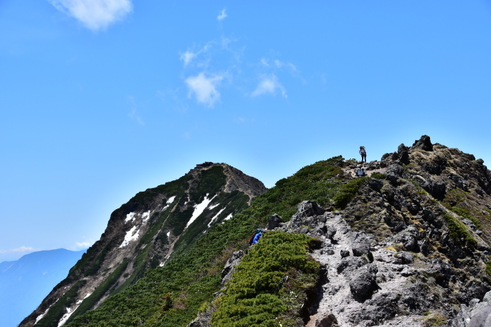 八ヶ岳、稜線上を彩る高山植物と広大な景色_a0307264_11290297.jpg