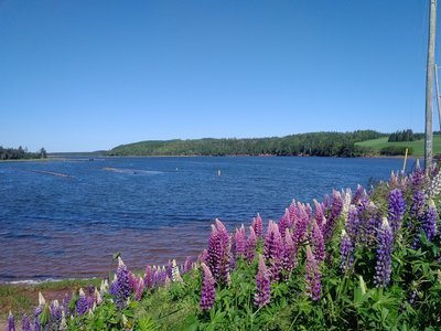 c0353373_21265761.jpg