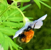 f0083977_17233529.jpg
