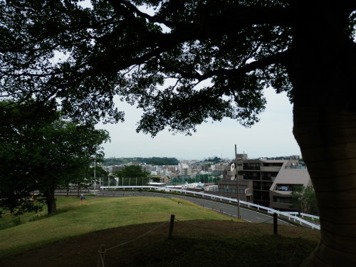 b0334084_21325662.jpg