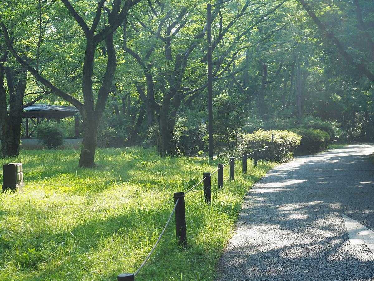 雨宿りの樹 Holy Rain