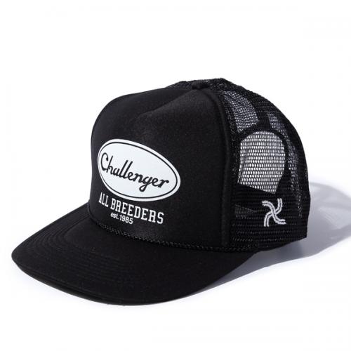 CHALLENGER NEW ITEMS!!!!!_d0101000_125457100.jpg
