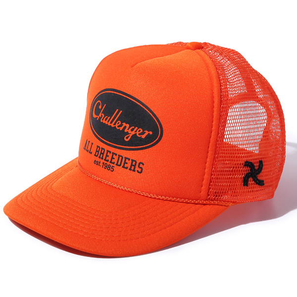 CHALLENGER NEW ITEMS!!!!!_d0101000_12551626.jpg