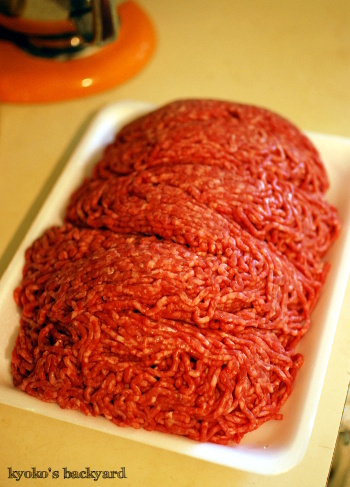 しましまバーガーの日_b0253205_06105986.jpg