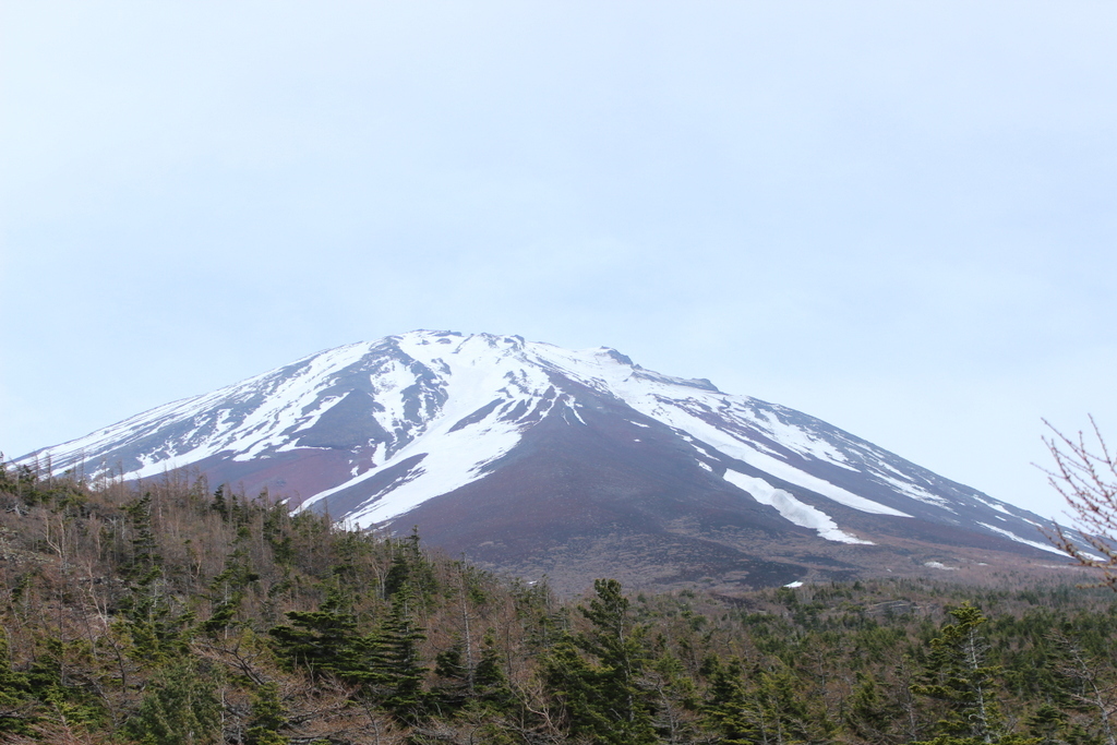 f0224506_20172451.jpg