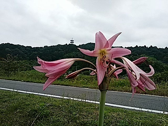 f0231709_11260530.jpg