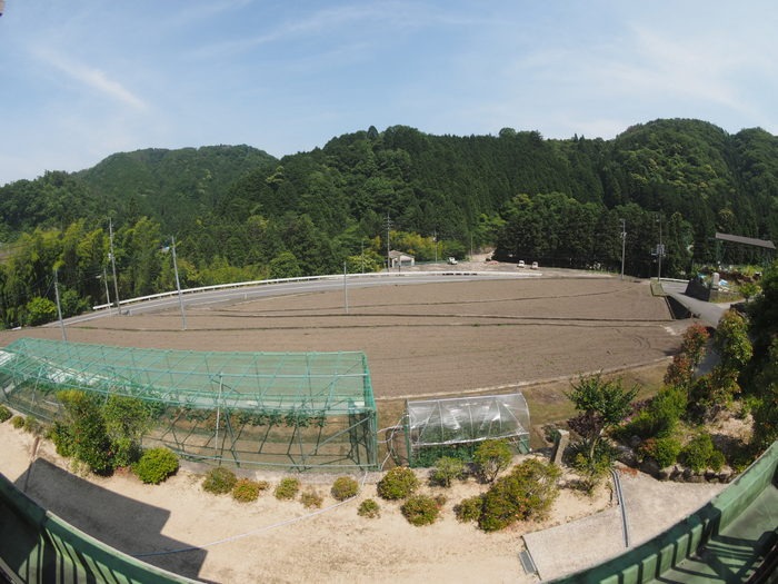 晴れた_c0116915_0173580.jpg