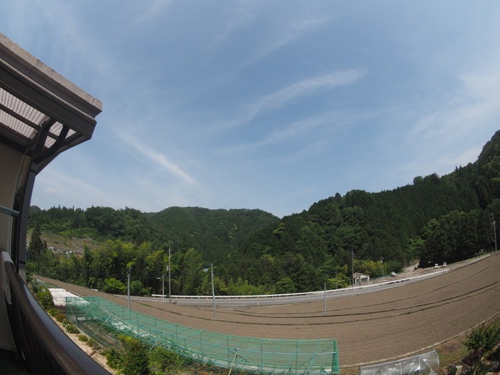 晴れた_c0116915_0181067.jpg