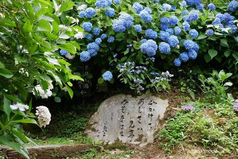 a0335421_08000838.jpg
