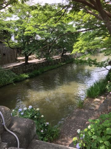 c0114121_23144334.jpg