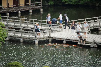 「三景園花まつり」　紫陽花園_f0110023_22223454.jpg