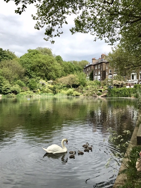英国探訪2017 ①_f0095325_10005236.jpeg