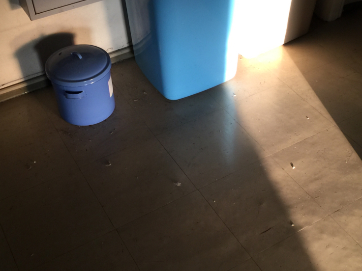大脱走_c0113733_03171982.jpg
