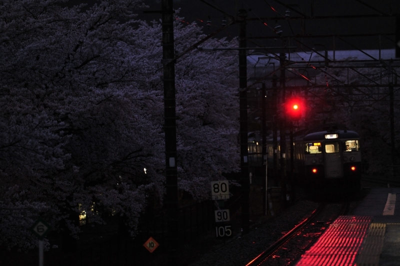 夜桜列車２_f0050534_09560126.jpg