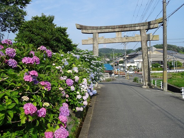 b0299042_11091855.jpg