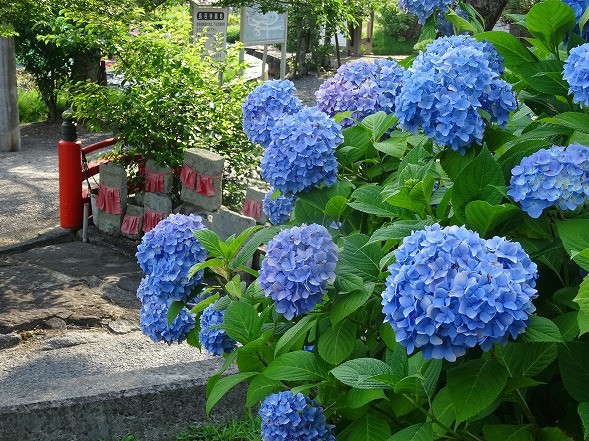 b0299042_11092414.jpg