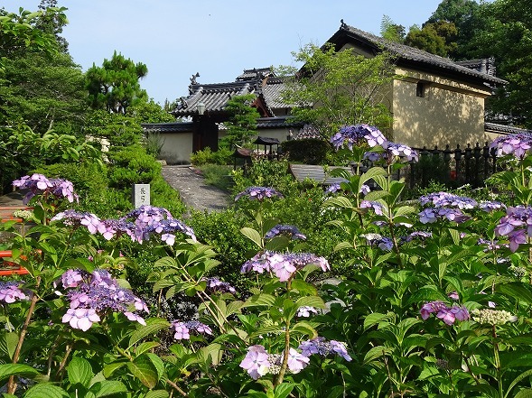 b0299042_11460865.jpg