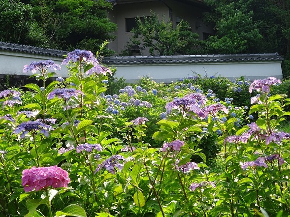 b0299042_11462173.jpg