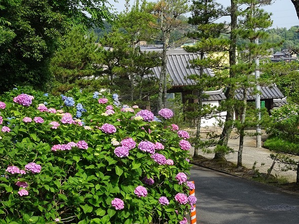 b0299042_11471575.jpg