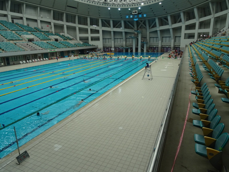 メイちゃん5位入賞・・・関西選手権水泳飛込みの部 in 大阪プール _c0108460_20170905.jpg