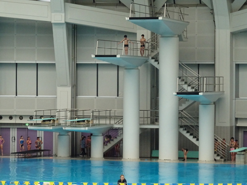 メイちゃん5位入賞・・・関西選手権水泳飛込みの部 in 大阪プール _c0108460_20182366.jpg