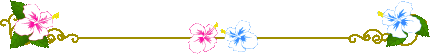 ニホンシカ と エゾシカオ♪_d0367763_20150554.gif