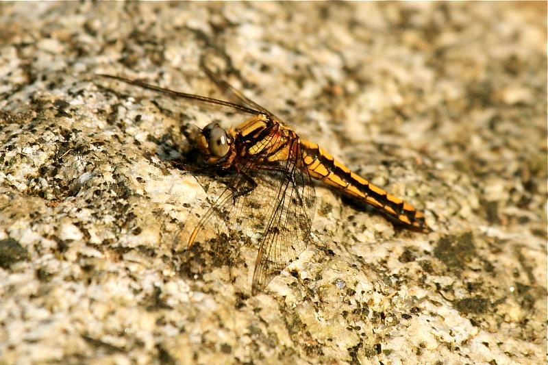 d0367763_23575844.jpg