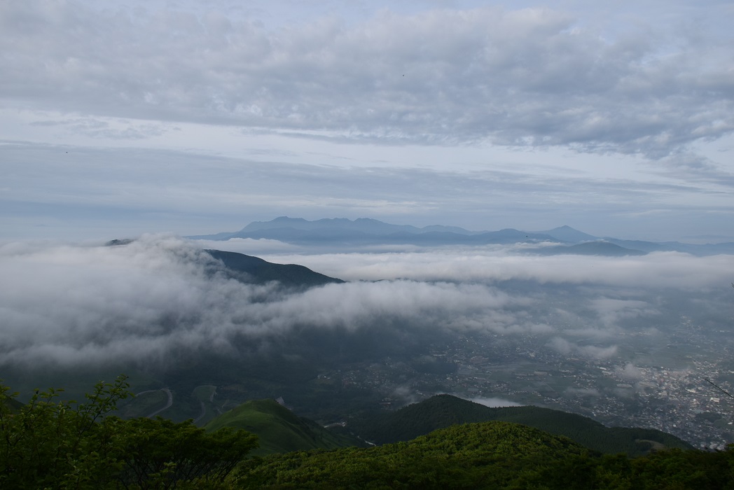 由布岳へ花散策登山・・・素晴らしい雲海の展望。_f0016066_91564.jpg