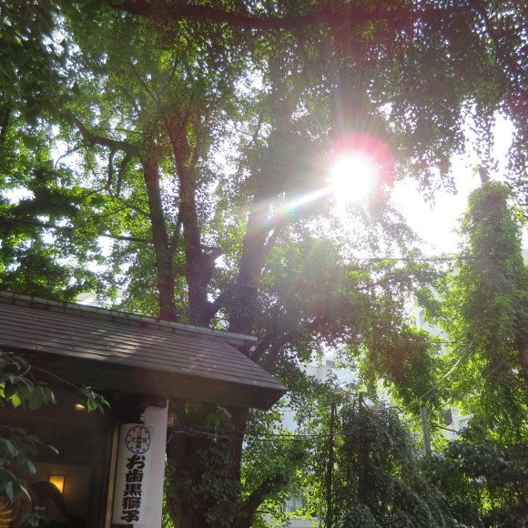 築地アウェー散歩_c0001670_17373028.jpg