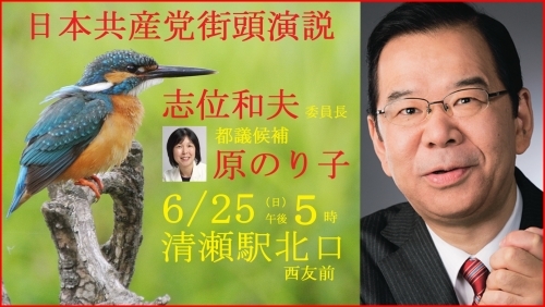 都議選 福祉の心を取り戻す選挙_b0190576_01445973.jpg