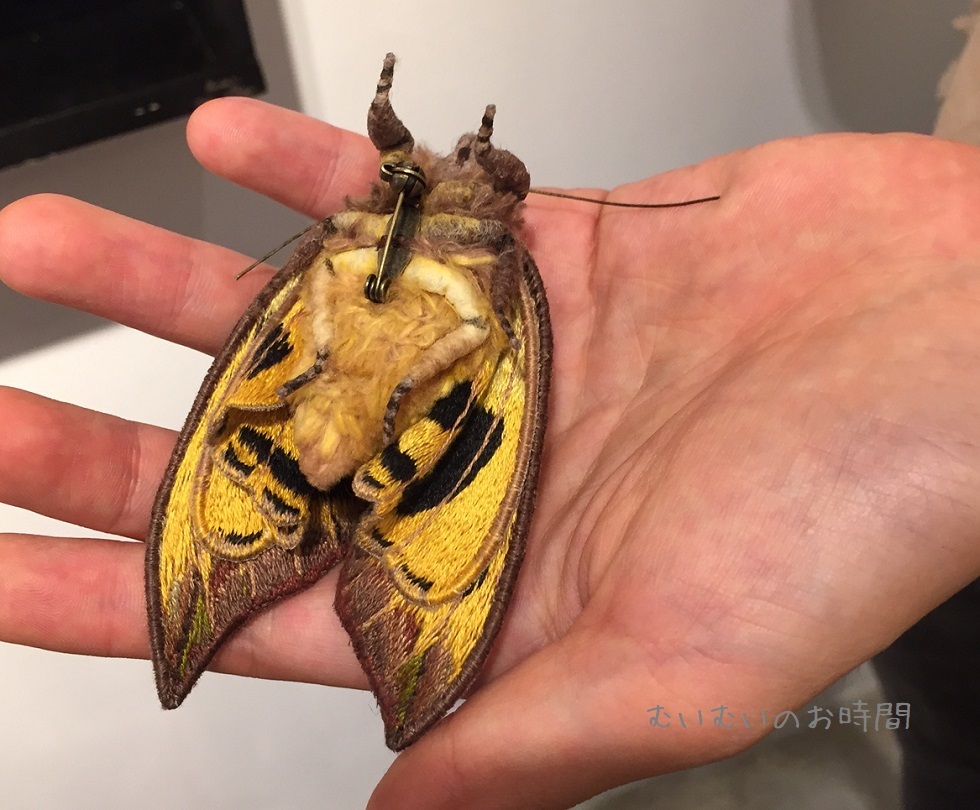 Lepidptera Altare (2) ~アケビコノハとタケカレハ~_b0116682_22443495.jpg