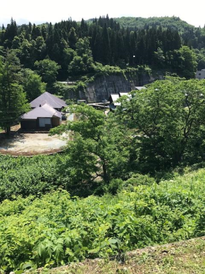 a0113889_19180650.png
