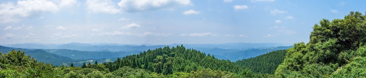 e0176993_07224543.jpg